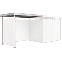 Abri autoportant avec espace de rangement