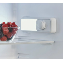 Intérieur d'un réfrigérateur avec un bol de fruits et un régulateur de température