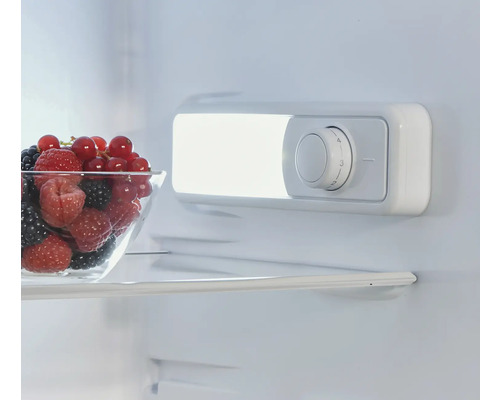 Intérieur d'un réfrigérateur avec un bol de fruits et un régulateur de température