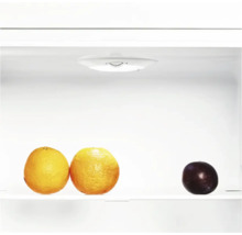 Intérieur d'un réfrigérateur avec deux oranges et une prune