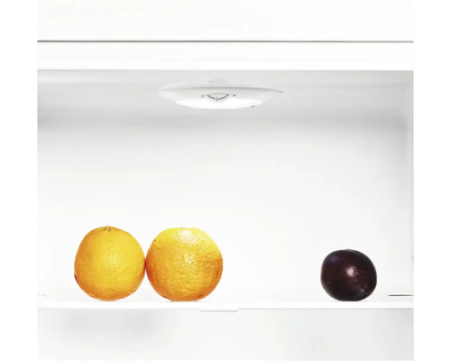 Intérieur d'un réfrigérateur avec deux oranges et une prune