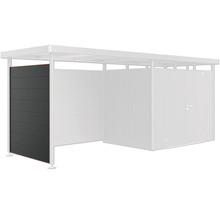 Metallgerätehaus mit Seitenwand und Tür