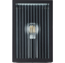 Applique murale noire avec tiges en verre et ampoule