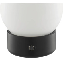 Tischleuchte mit rundem Lampenschirm und Schalter