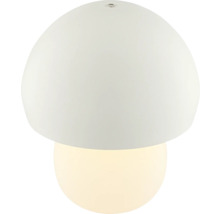 Pilzförmige Deckenleuchte