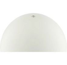 Schirm einer Leuchte