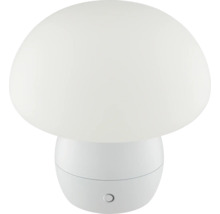 Pilzförmige Tischleuchte