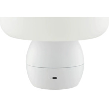 Tischleuchte in Pilzform
