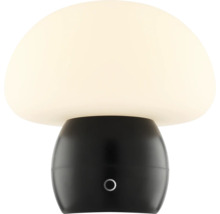 Pilzförmige Tischleuchte mit schwarzem Fuss