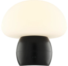 Pilzförmige Tischleuchte