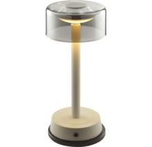 Tischleuchte mit transparentem Lampenschirm