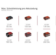 Batteries avec différentes capacités pour outils électriques