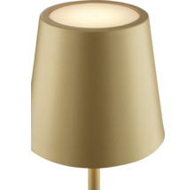 Goldene Tischleuchte mit Lampenschirm