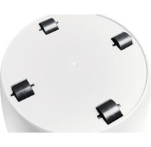 Dessous rond du chariot à plantes avec quatre roues