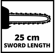 Schwertlänge 25 cm