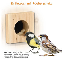 Holz Vogelhaus mit Einflugloch und zwei Vögeln