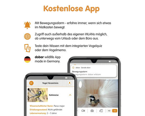 Dobar Wildlife App für Informationen über Vögel und Bewegungserkennung im Nistkasten