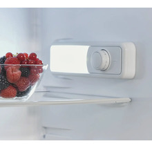 Intérieur d'un réfrigérateur avec un bol de baies et un régulateur de température