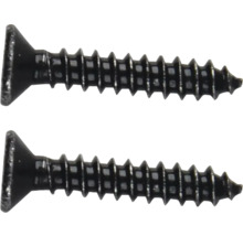 Zwei schwarze Schrauben