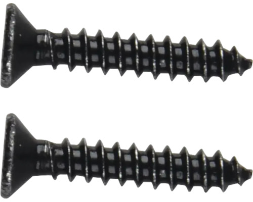 Zwei schwarze Schrauben