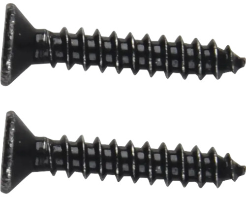 Zwei schwarze Holzschrauben