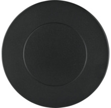 Schwarzer Teller