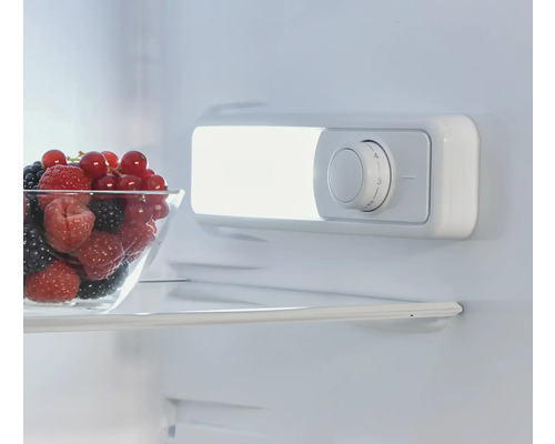 Intérieur d'un réfrigérateur avec des baies dans un bol et un thermostat