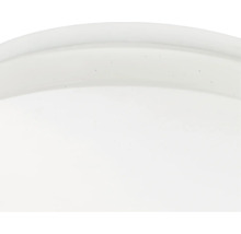 Vue détaillée d'un objet rond et lisse