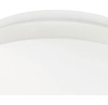 Découpe d'un récipient rond