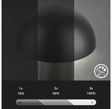 Tischleuchte mit einstellbarer Helligkeit