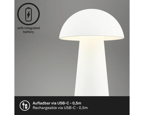 Pilzförmige Tischleuchte mit integrierter Batterie, aufladbar über USB-C