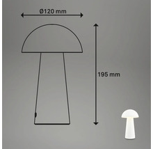 Technische Zeichnung einer Lampe mit den Maßen 120 Millimeter Durchmesser und 195 Millimeter Höhe.