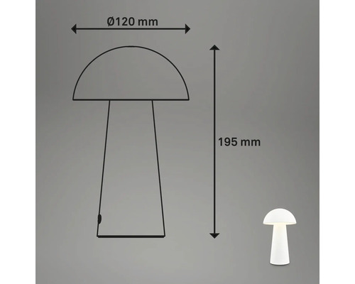 Technische Zeichnung einer Lampe mit den Maßen 120 Millimeter Durchmesser und 195 Millimeter Höhe.