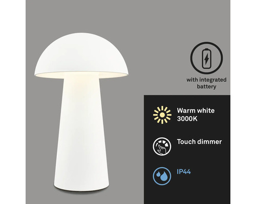 Pilzförmige Tischleuchte mit integriertem Akku, warmweissem Licht, Touchdimmer und IP44 Schutzart