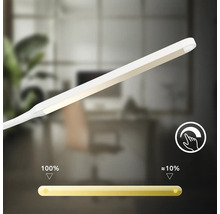 Dimmbare LED-Schreibtischlampe zur Anpassung der Lichtintensität