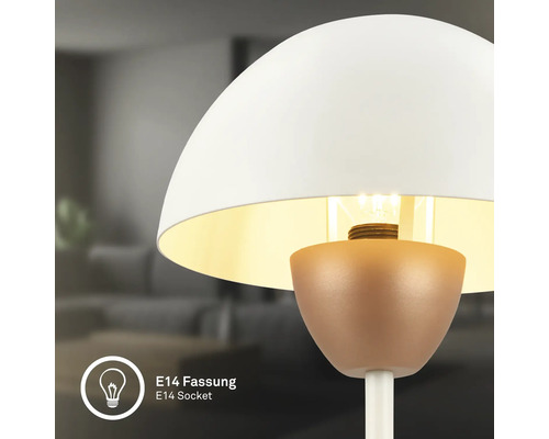 Nahaufnahme einer Lampe mit E14 Fassung