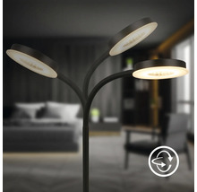 Stehleuchte mit drei Leuchtenarmen im Raum