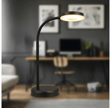 Schwarze Stehlampe mit runder Leuchte in einem Arbeitszimmer