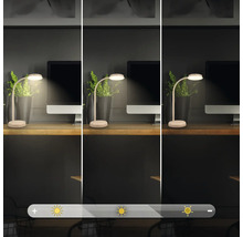 Tischleuchte mit unterschiedlichen Helligkeitsstufen auf einem Schreibtisch