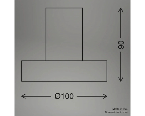 Technische Zeichnung mit Maßangaben eines Objekts: Durchmesser 100 Millimeter, Höhe 90 Millimeter