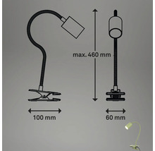 Skizze einer Klemmleuchte mit den Maßen 100 mm Breite der Klemme, 60 mm Durchmesser des Lampenkopfes und maximal 460 mm Höhe