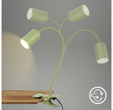 Klemmleuchte mit vier Leuchtenarmen und Clipbefestigung