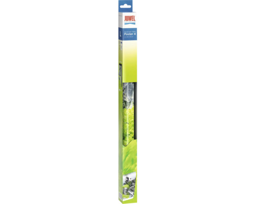 Juwel Aquarium Poster 4 Aquascape/Stone, taille L