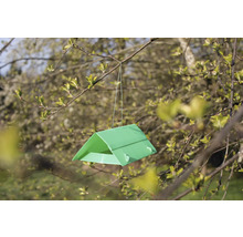 Piège à insectes suspendu à un arbre