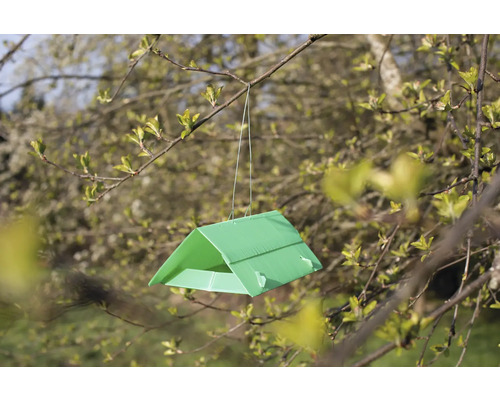 Piège à insectes suspendu à un arbre