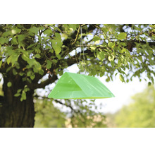 Piège à mouches des fruits suspendu à un arbre