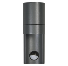 Luminaire d'extérieur avec détecteur de mouvement