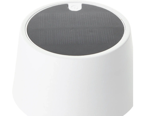 Solarleuchte mit Solarpanel