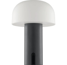 Tischleuchte mit rundem Lampenschirm und zylindrischem Fuss