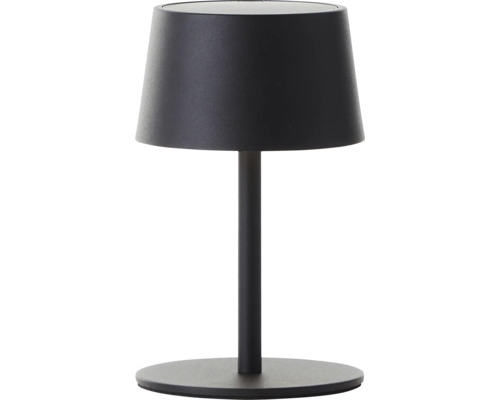 Tischleuchte mit Lampenschirm